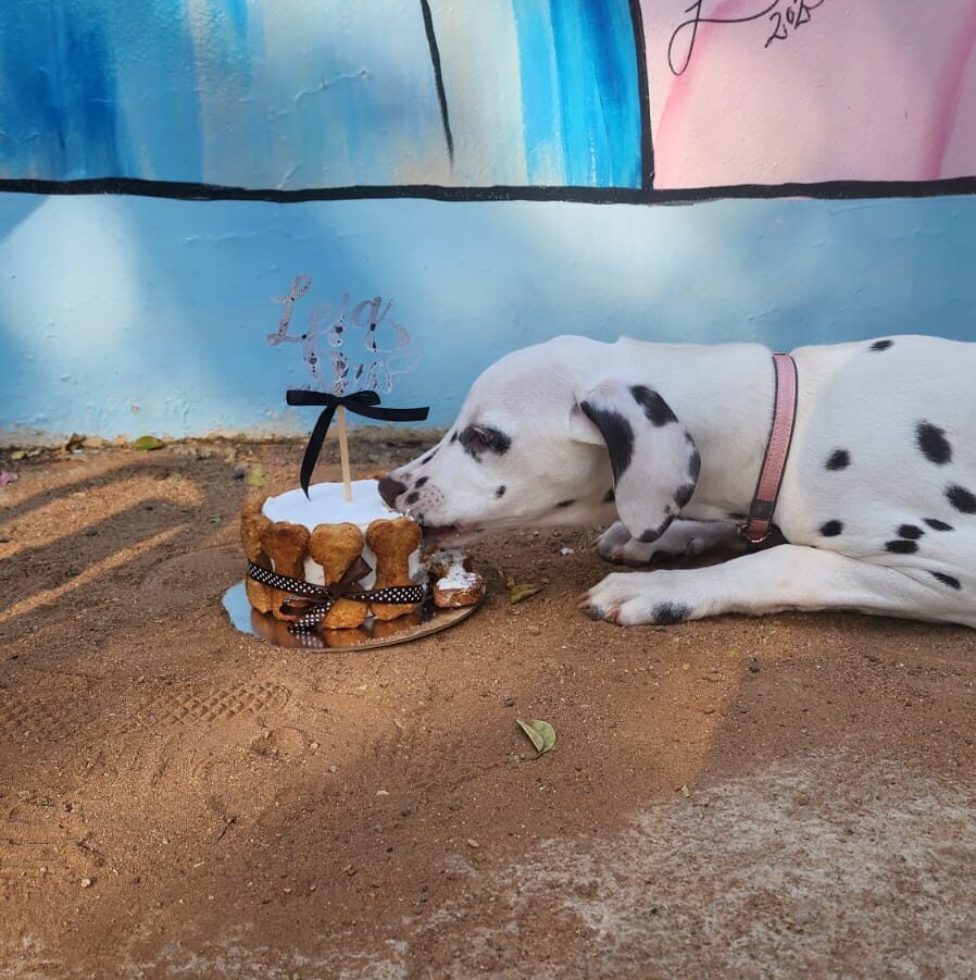 Doggie Cake - Image 6